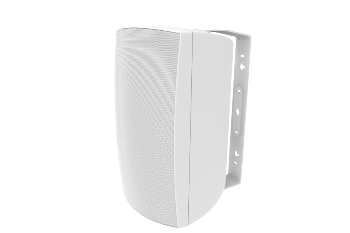 Adept Audio I060 On-Wall Speaker